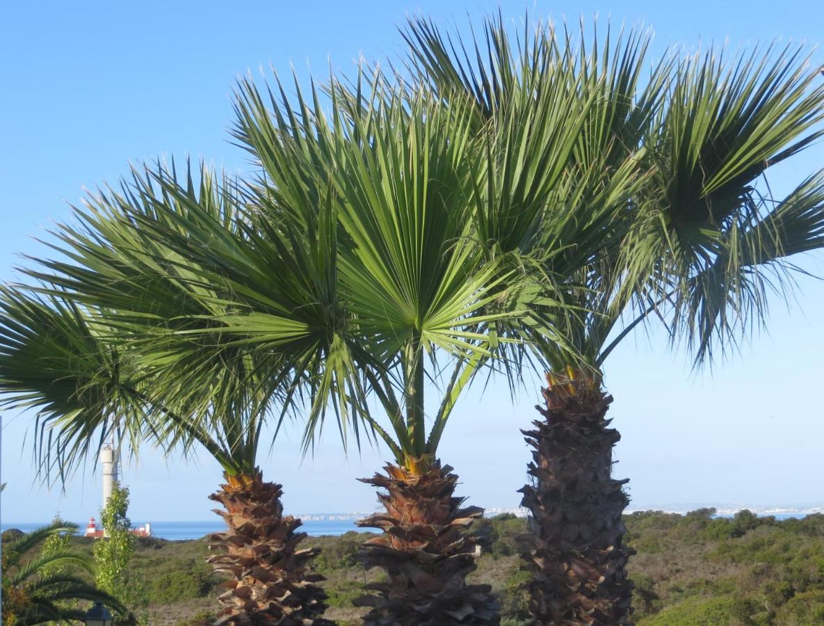 Three Palms Apartment Ferragudo  Eksteriør bilde